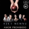 Comprar la Serie Amor Prohibido (Aşk-ı Memnu) completo en Memoria USB.