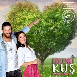 Compra la Serie Pájaro Soñador (Erkenci Kuş)-(Audio Castellano) completo en Memoria USB.