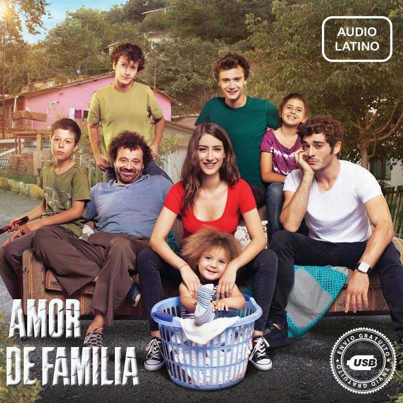 Comprar la Serie Amor De Familia Bizim Hikaye (Audio Latino) completo en Memoria USB.jpg