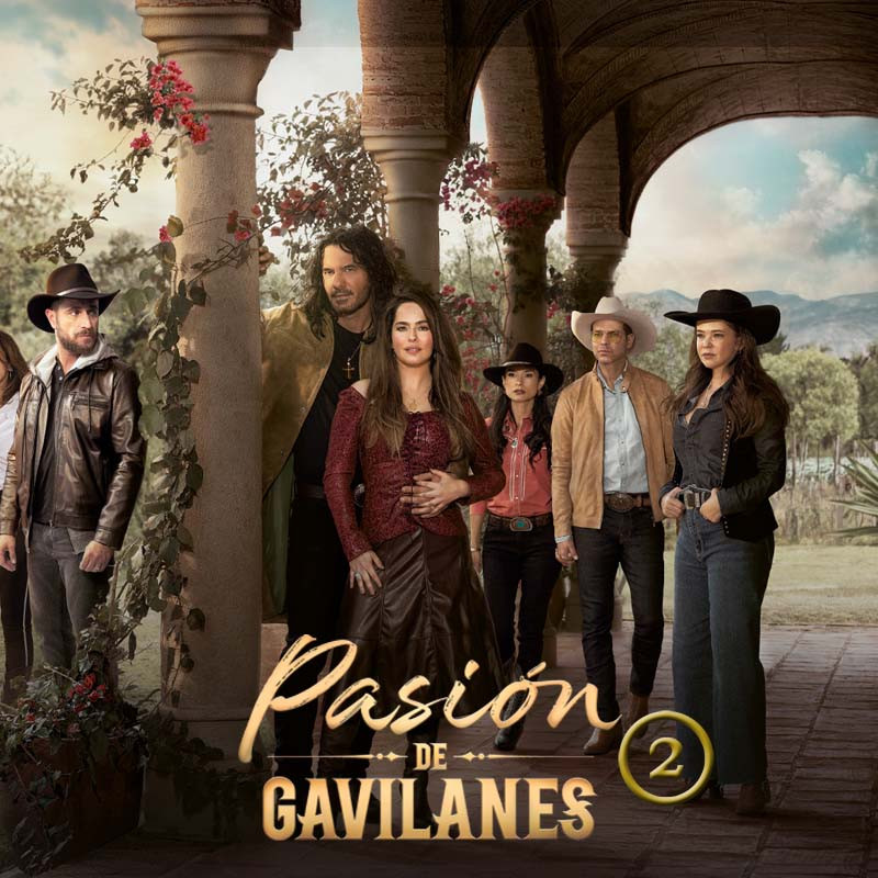 Comprar la Telenovela Pasión de gavilanes 2 completo en USB.